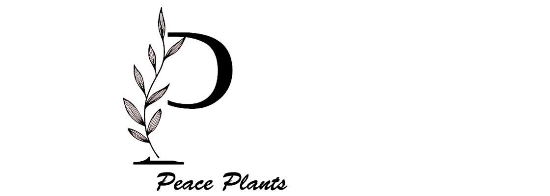 Peace-plant